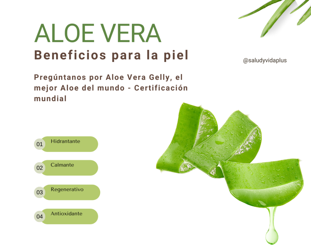 Beneficios del Aloe Vera para tu piel