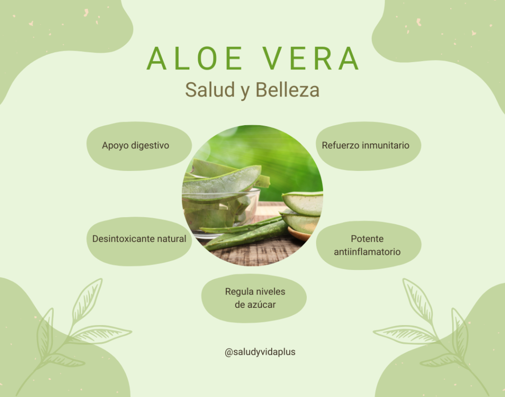 Aloe Vera: salud y belleza